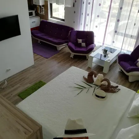 Studio Delia Нэводари